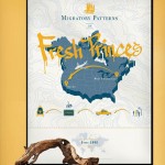The Migratory Patterns of Fresh Princes