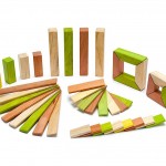 tegu-explorer-set-jungle-big-1